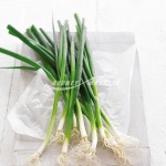 Green Onions (Shallots)