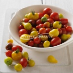 Medley Tomatoes
